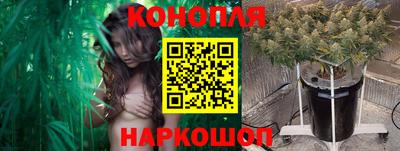 каннабис Новодвинск