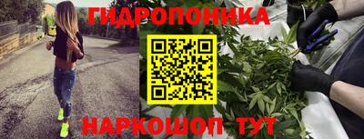 спиды Новозыбков