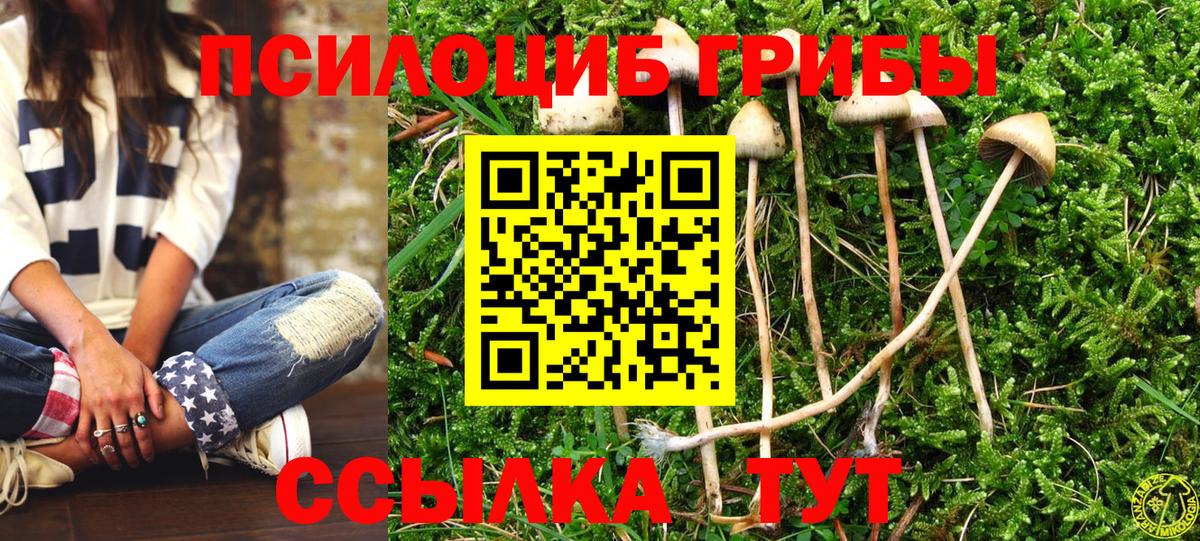 Тавда  Псилоцибиновые грибы мицелий  Вход с VPN 
