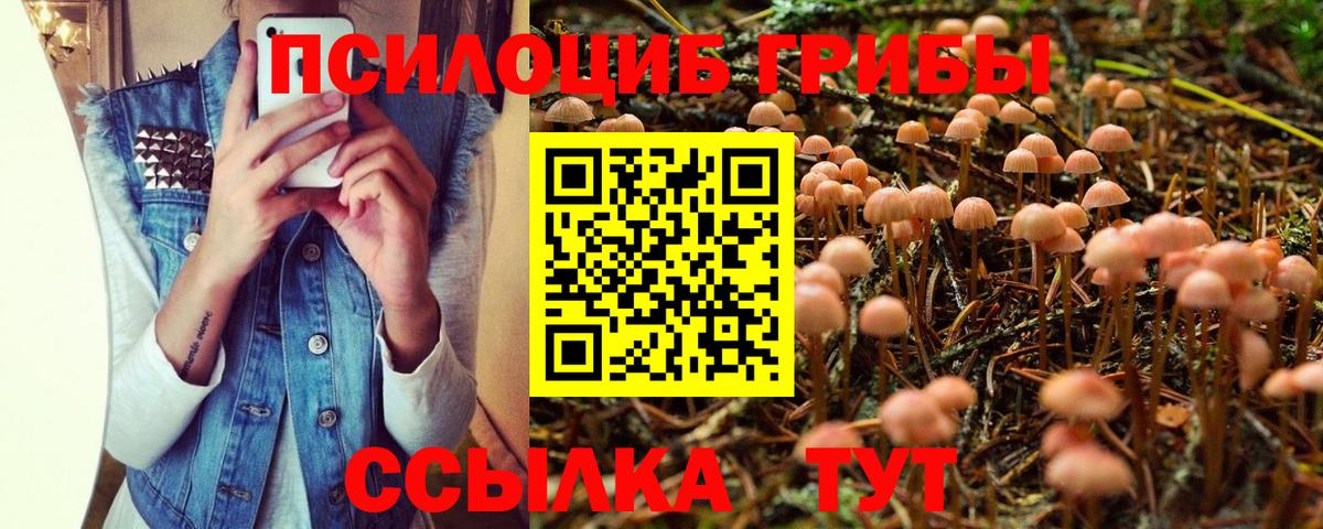 Псилоцибиновые грибы GOLDEN TEACHER Тавда